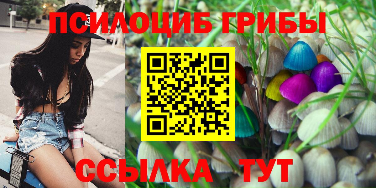 Галлюциногенные грибы MAGIC MUSHROOMS  Вход с VPN  Юрга 