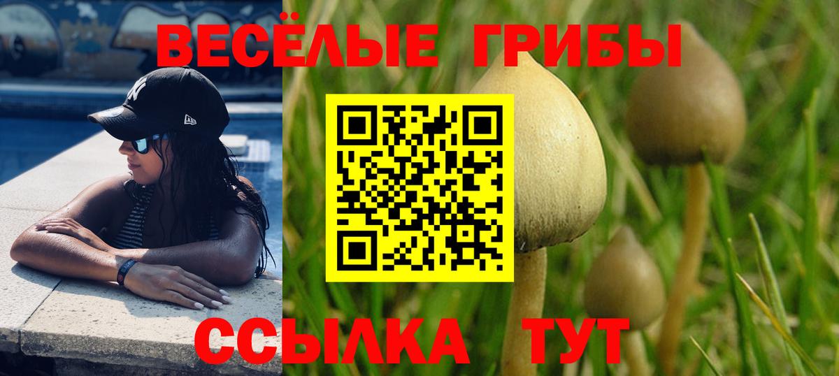 Галлюциногенные грибы прущие грибы Юрга